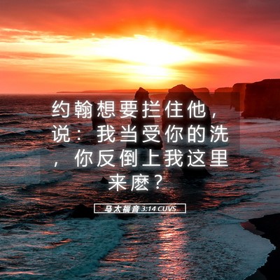 Picture 05 - 马 太 福 音 3:14 CUVS - 约 翰 想 要 拦 住 他 ， 说 ： 我 当 - Bible Verse Picture