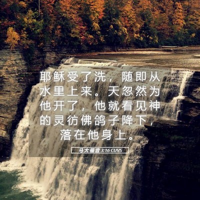 Picture 05 - 马 太 福 音 3:16 CUVS - 耶 稣 受 了 洗 ， 随 即 从 水 里 上 - Bible Verse Picture