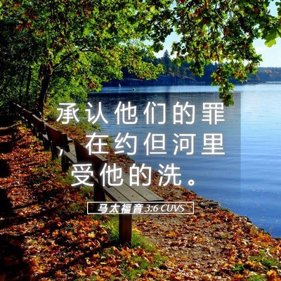 Picture 05 - 马 太 福 音 3:6 CUVS - 承 认 他 们 的 罪 ， 在 约 但 河 里 - Bible Verse Picture