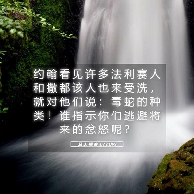 Picture 05 - 马 太 福 音 3:7 CUVS - 约 翰 看 见 许 多 法 利 赛 人 和 撒 - Bible Verse Picture