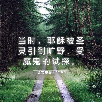 Picture 05 - 马 太 福 音 4:1 CUVS - 当 时 ， 耶 稣 被 圣 灵 引 到 旷 野 - Bible Verse Picture