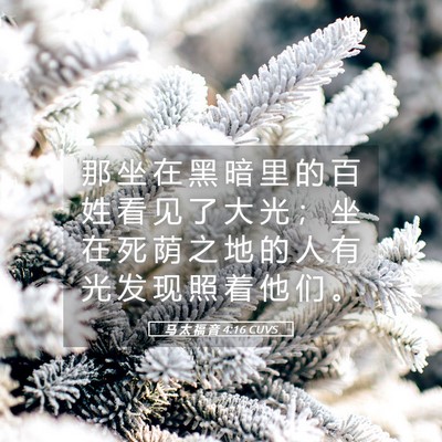 Picture 05 - 马 太 福 音 4:16 CUVS - 那 坐 在 黑 暗 里 的 百 姓 看 见 了 - Bible Verse Picture