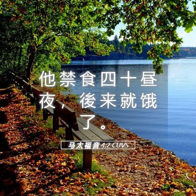 Picture 05 - 马 太 福 音 4:2 CUVS - 他 禁 食 四 十 昼 夜 ， 後 来 就 饿 - Bible Verse Picture
