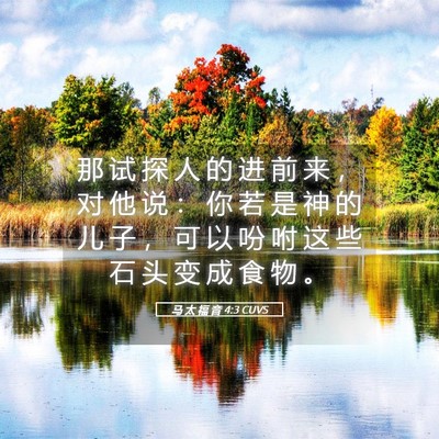 Picture 05 - 马 太 福 音 4:3 CUVS - 那 试 探 人 的 进 前 来 ， 对 他 说 - Bible Verse Picture
