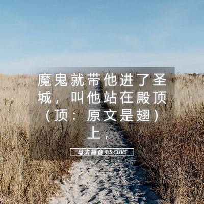 Picture 05 - 马 太 福 音 4:5 CUVS - 魔 鬼 就 带 他 进 了 圣 城 ， 叫 他 - Bible Verse Picture