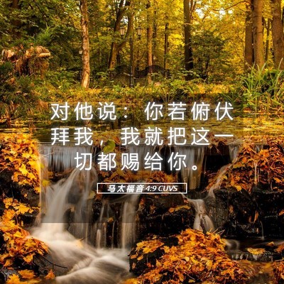 Picture 05 - 马 太 福 音 4:9 CUVS - 对 他 说 ： 你 若 俯 伏 拜 我 ， 我 - Bible Verse Picture