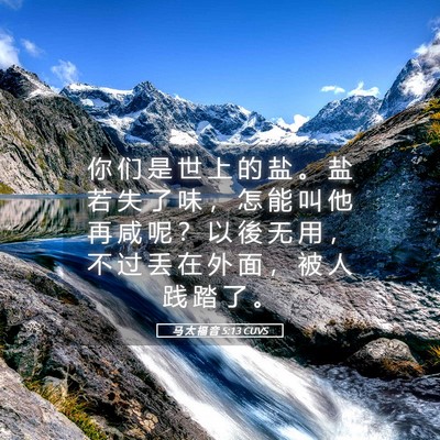 Picture 05 - 马 太 福 音 5:13 CUVS - 你 们 是 世 上 的 盐 。 盐 若 失 了 - Bible Verse Picture