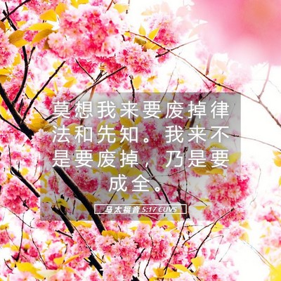 Picture 05 - 马 太 福 音 5:17 CUVS - 莫 想 我 来 要 废 掉 律 法 和 先 知 - Bible Verse Picture