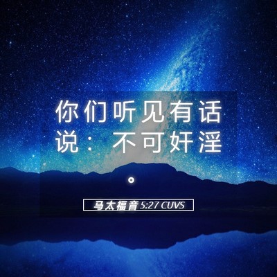 Picture 05 - 马 太 福 音 5:27 CUVS - 你 们 听 见 有 话 说 ： 不 可 奸 淫 - Bible Verse Picture