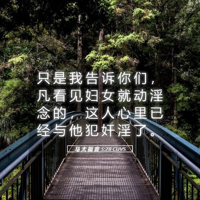 Picture 05 - 马 太 福 音 5:28 CUVS - 只 是 我 告 诉 你 们 ， 凡 看 见 妇 - Bible Verse Picture