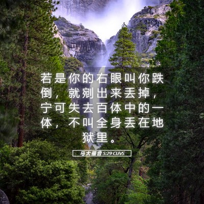 Picture 05 - 马 太 福 音 5:29 CUVS - 若 是 你 的 右 眼 叫 你 跌 倒 ， 就 - Bible Verse Picture