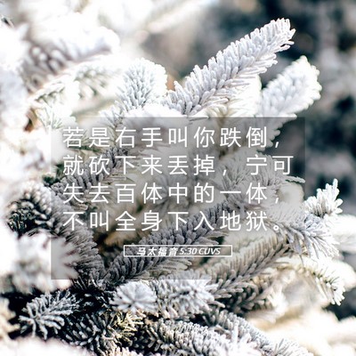 Picture 05 - 马 太 福 音 5:30 CUVS - 若 是 右 手 叫 你 跌 倒 ， 就 砍 下 - Bible Verse Picture