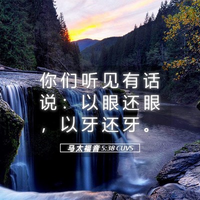 Picture 05 - 马 太 福 音 5:38 CUVS - 你 们 听 见 有 话 说 ： 以 眼 还 眼 - Bible Verse Picture