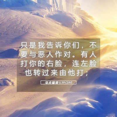 Picture 05 - 马 太 福 音 5:39 CUVS - 只 是 我 告 诉 你 们 ， 不 要 与 恶 - Bible Verse Picture