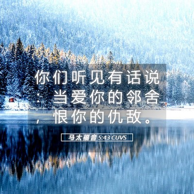 Picture 05 - 马 太 福 音 5:43 CUVS - 你 们 听 见 有 话 说 ： 当 爱 你 的 - Bible Verse Picture