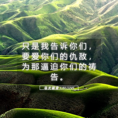 Picture 05 - 马 太 福 音 5:44 CUVS - 只 是 我 告 诉 你 们 ， 要 爱 你 们 - Bible Verse Picture