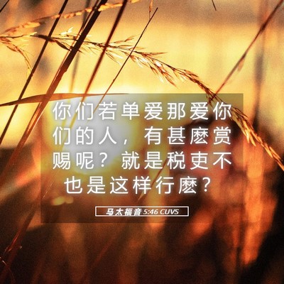 Picture 05 - 马 太 福 音 5:46 CUVS - 你 们 若 单 爱 那 爱 你 们 的 人 ， - Bible Verse Picture