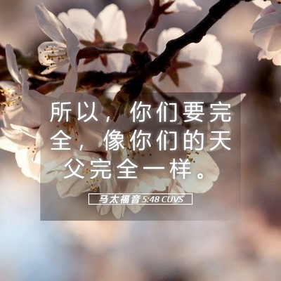 Picture 05 - 马 太 福 音 5:48 CUVS - 所 以 ， 你 们 要 完 全 ， 像 你 们 - Bible Verse Picture