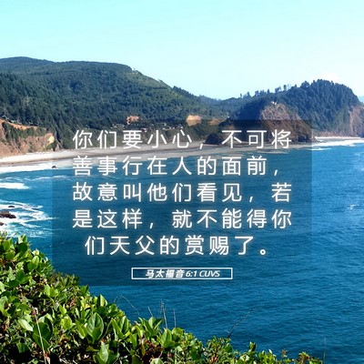 Picture 05 - 马 太 福 音 6:1 CUVS - 你 们 要 小 心 ， 不 可 将 善 事 行 - Bible Verse Picture