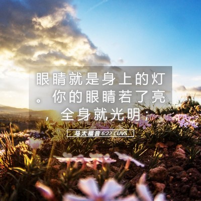 Picture 05 - 马 太 福 音 6:22 CUVS - 眼 睛 就 是 身 上 的 灯 。 你 的 眼 - Bible Verse Picture