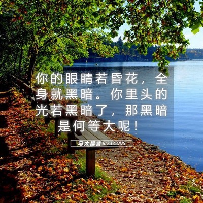 Picture 05 - 马 太 福 音 6:23 CUVS - 你 的 眼 睛 若 昏 花 ， 全 身 就 黑 - Bible Verse Picture