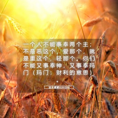 Picture 05 - 马 太 福 音 6:24 CUVS - 一 个 人 不 能 事 奉 两 个 主 ； 不 - Bible Verse Picture