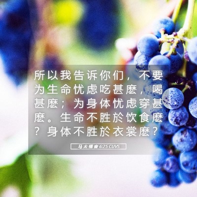Picture 05 - 马 太 福 音 6:25 CUVS - 所 以 我 告 诉 你 们 ， 不 要 为 生 - Bible Verse Picture