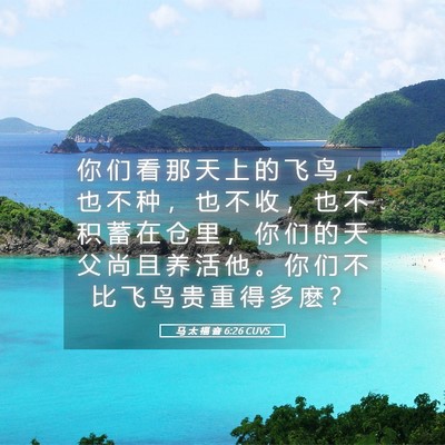 Picture 05 - 马 太 福 音 6:26 CUVS - 你 们 看 那 天 上 的 飞 鸟 ， 也 不 - Bible Verse Picture