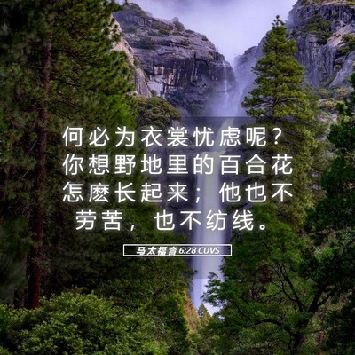 Picture 05 - 马 太 福 音 6:28 CUVS - 何 必 为 衣 裳 忧 虑 呢 ？ 你 想 野 - Bible Verse Picture