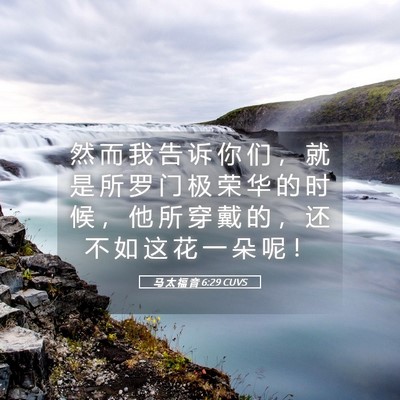 Picture 05 - 马 太 福 音 6:29 CUVS - 然 而 我 告 诉 你 们 ， 就 是 所 罗 - Bible Verse Picture