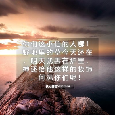 Picture 05 - 马 太 福 音 6:30 CUVS - 你 们 这 小 信 的 人 哪 ！ 野 地 里 - Bible Verse Picture