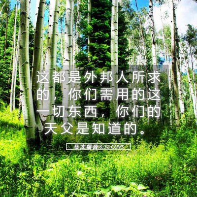 Picture 05 - 马 太 福 音 6:32 CUVS - 这 都 是 外 邦 人 所 求 的 ， 你 们 - Bible Verse Picture