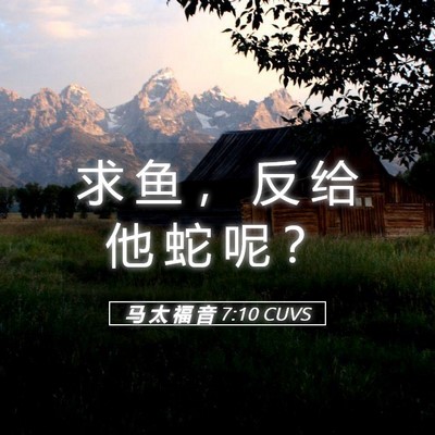 Picture 05 - 马 太 福 音 7:10 CUVS - 求 鱼 ， 反 给 他 蛇 呢 - Bible Verse Picture