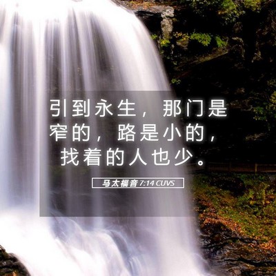 Picture 05 - 马 太 福 音 7:14 CUVS - 引 到 永 生 ， 那 门 是 窄 的 ， 路 - Bible Verse Picture