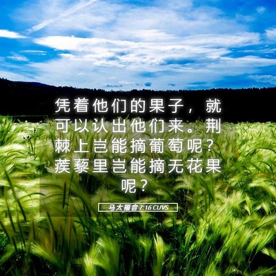 Picture 05 - 马 太 福 音 7:16 CUVS - 凭 着 他 们 的 果 子 ， 就 可 以 认 - Bible Verse Picture
