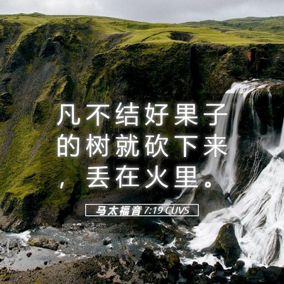 Picture 05 - 马 太 福 音 7:19 CUVS - 凡 不 结 好 果 子 的 树 就 砍 下 来 - Bible Verse Picture
