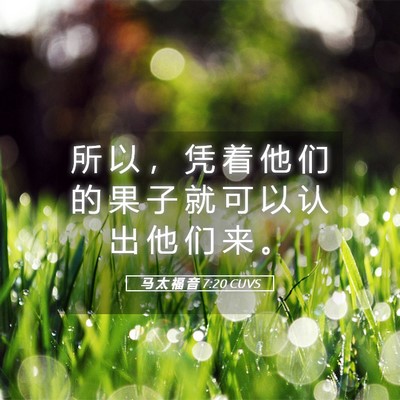 Picture 05 - 马 太 福 音 7:20 CUVS - 所 以 ， 凭 着 他 们 的 果 子 就 可 - Bible Verse Picture