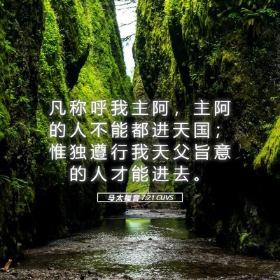 Picture 05 - 马 太 福 音 7:21 CUVS - 凡 称 呼 我 主 阿 ， 主 阿 的 人 不 - Bible Verse Picture