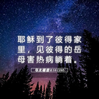 Picture 05 - 马 太 福 音 8:14 CUVS - 耶 稣 到 了 彼 得 家 里 ， 见 彼 得 - Bible Verse Picture