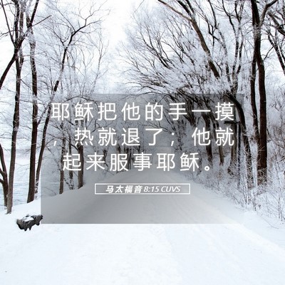 Picture 05 - 马 太 福 音 8:15 CUVS - 耶 稣 把 他 的 手 一 摸 ， 热 就 退 - Bible Verse Picture
