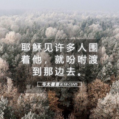 Picture 05 - 马 太 福 音 8:18 CUVS - 耶 稣 见 许 多 人 围 着 他 ， 就 吩 - Bible Verse Picture
