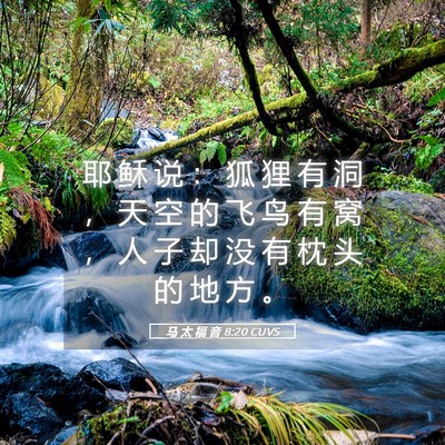 Picture 05 - 马 太 福 音 8:20 CUVS - 耶 稣 说 ： 狐 狸 有 洞 ， 天 空 的 - Bible Verse Picture