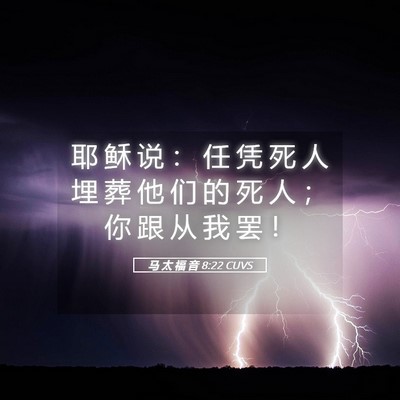Picture 05 - 马 太 福 音 8:22 CUVS - 耶 稣 说 ： 任 凭 死 人 埋 葬 他 们 - Bible Verse Picture