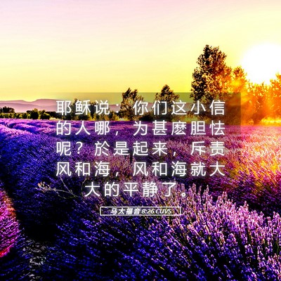 Picture 05 - 马 太 福 音 8:26 CUVS - 耶 稣 说 ： 你 们 这 小 信 的 人 哪 - Bible Verse Picture