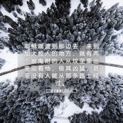 Picture 05 - 马 太 福 音 8:28 CUVS - 耶 稣 既 渡 到 那 边 去 ， 来 到 加 - Bible Verse Picture