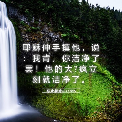 Picture 05 - 马 太 福 音 8:3 CUVS - 耶 稣 伸 手 摸 他 ， 说 ： 我 肯 ， - Bible Verse Picture