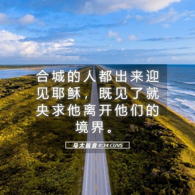Picture 05 - 马 太 福 音 8:34 CUVS - 合 城 的 人 都 出 来 迎 见 耶 稣 ， - Bible Verse Picture