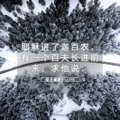 Picture 05 - 马 太 福 音 8:5 CUVS - 耶 稣 进 了 迦 百 农 ， 有 一 个 百 - Bible Verse Picture