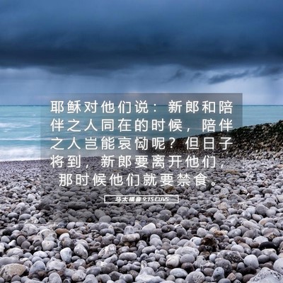 Picture 05 - 马 太 福 音 9:15 CUVS - 耶 稣 对 他 们 说 ： 新 郎 和 陪 伴 - Bible Verse Picture