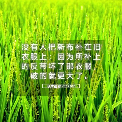 Picture 05 - 马 太 福 音 9:16 CUVS - 没 有 人 把 新 布 补 在 旧 衣 服 上 - Bible Verse Picture